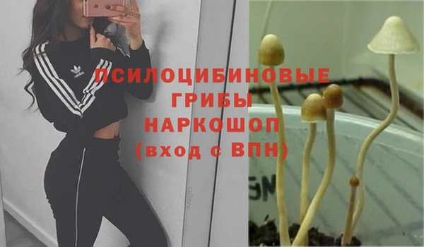 ECSTASY Балабаново