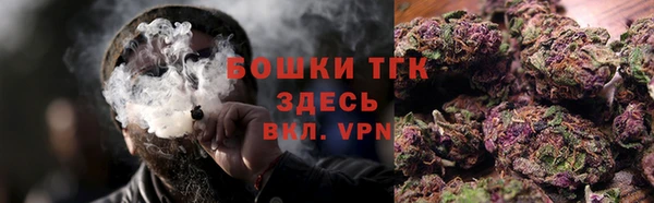 гидра Балахна